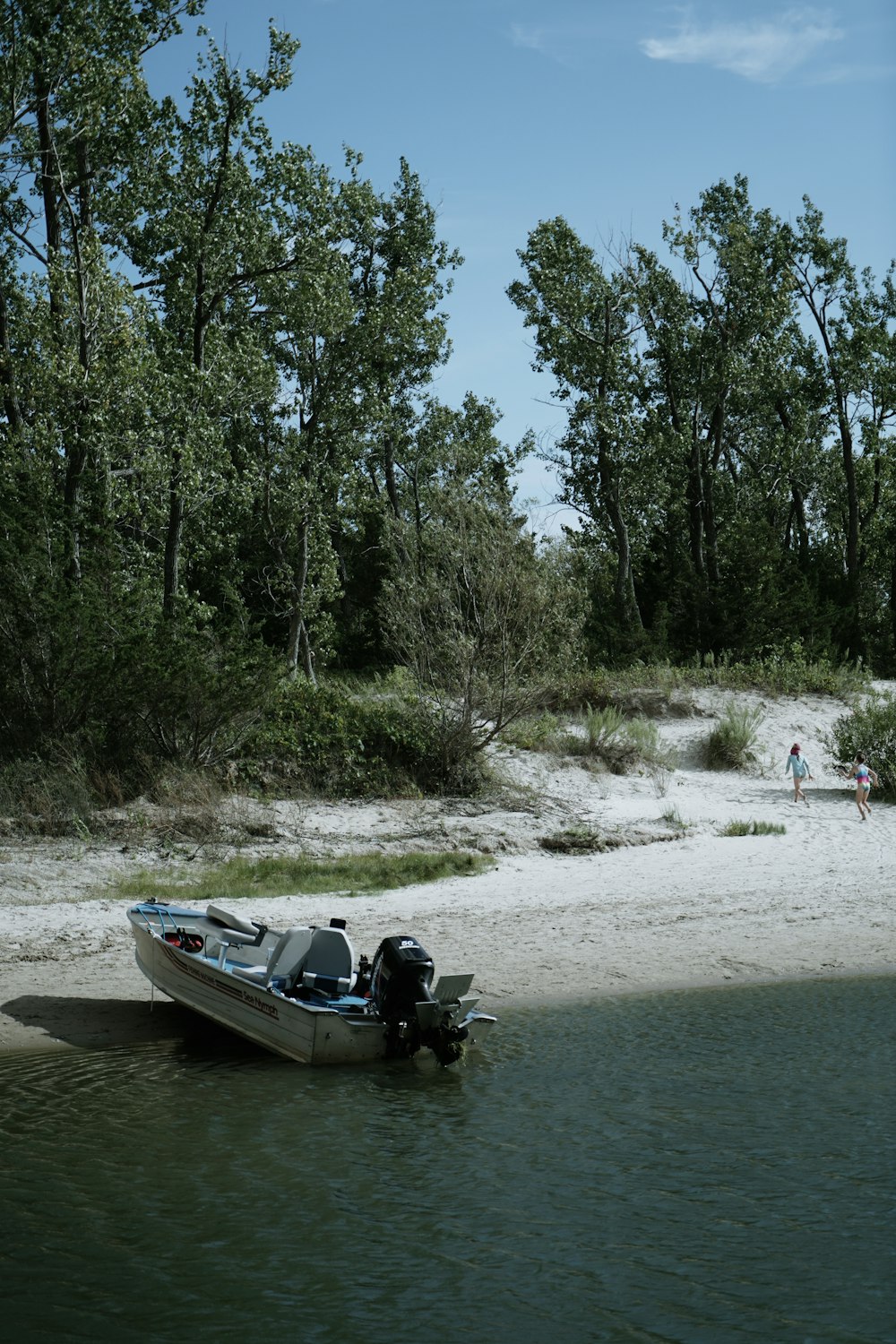 white and black boat on white sand near green trees during daytime