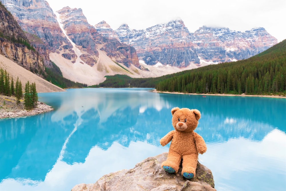 brown bear plush toy on rock near lake during daytime