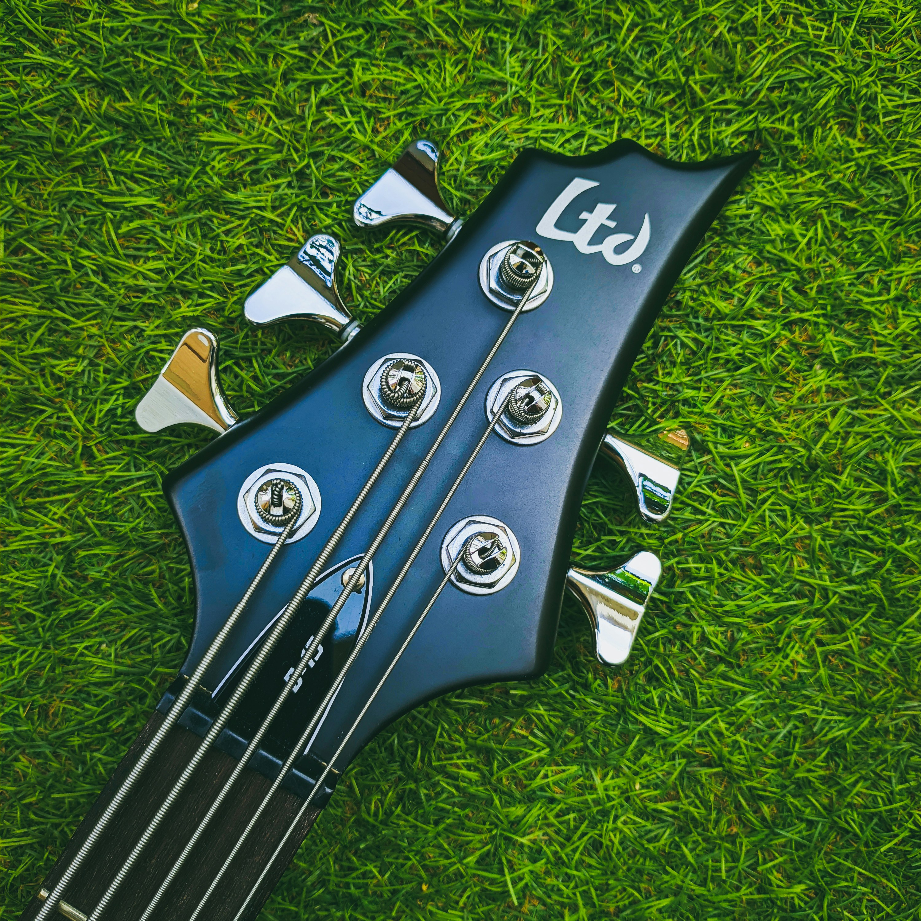 black and white guitar pick on green grass