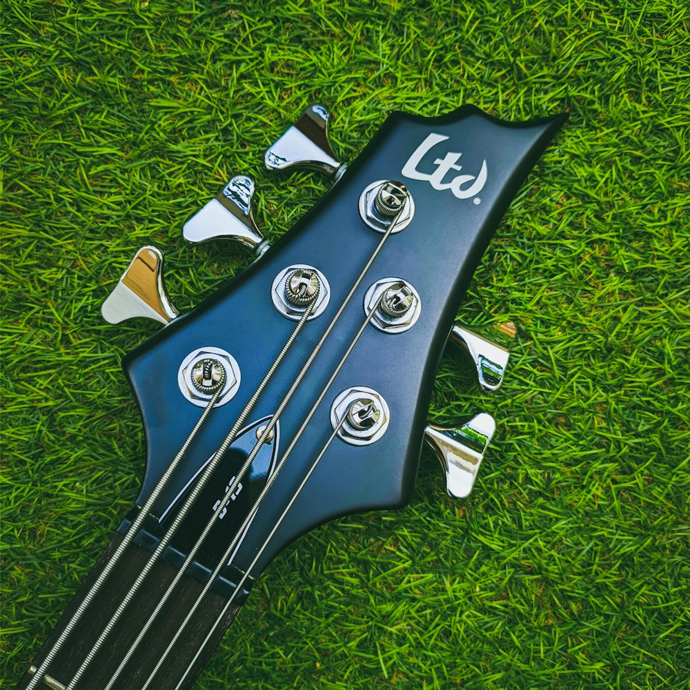 black and white guitar pick on green grass