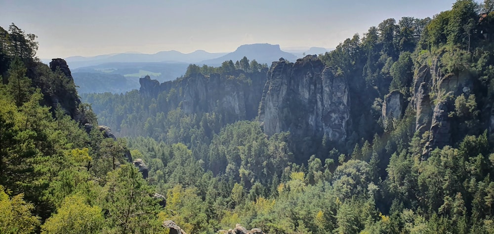 green trees near mountain during daytime