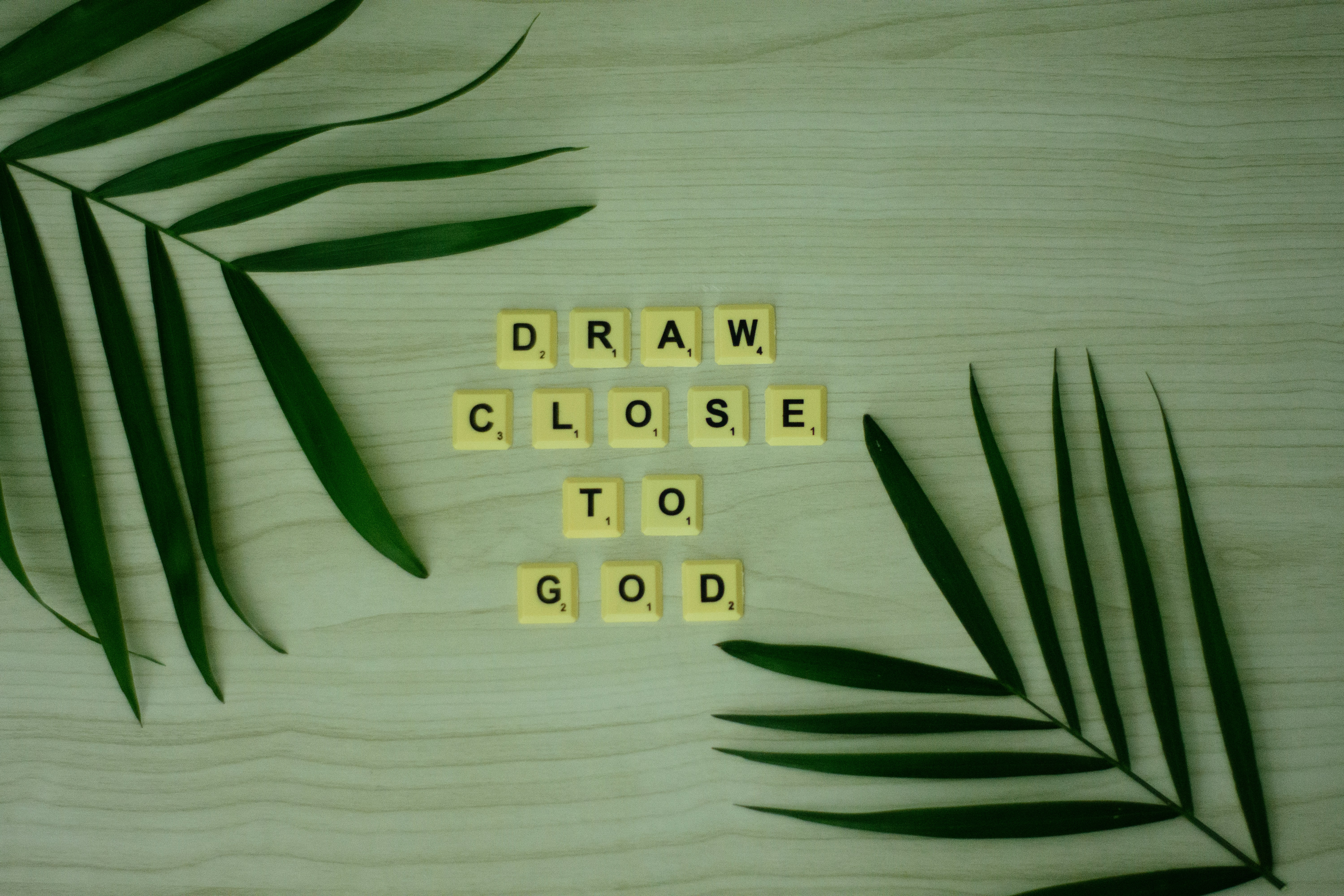 US Open draws are out