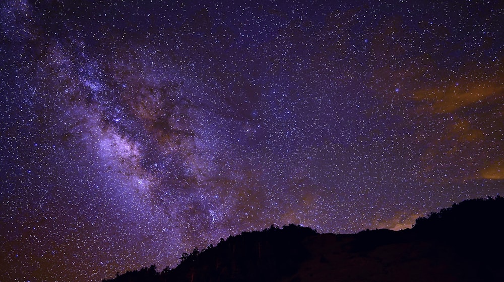 alberi verdi sotto nuvole bianche durante il giorno