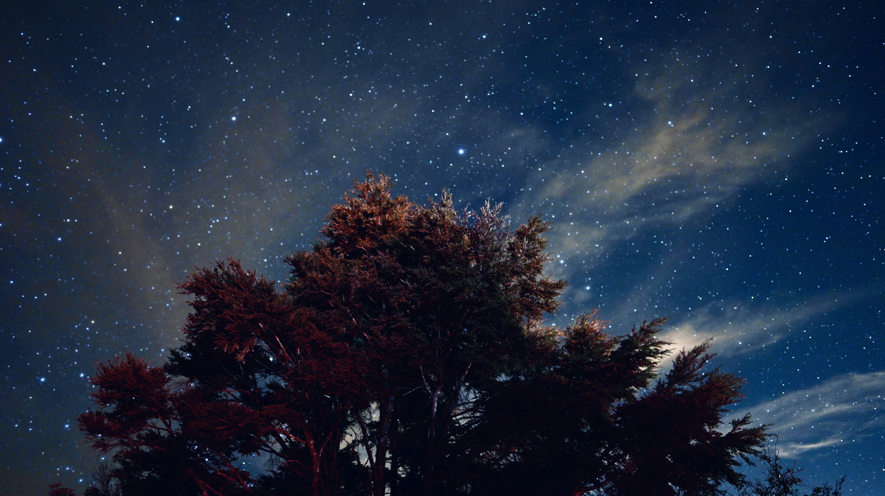 Photo by zhouyudesign