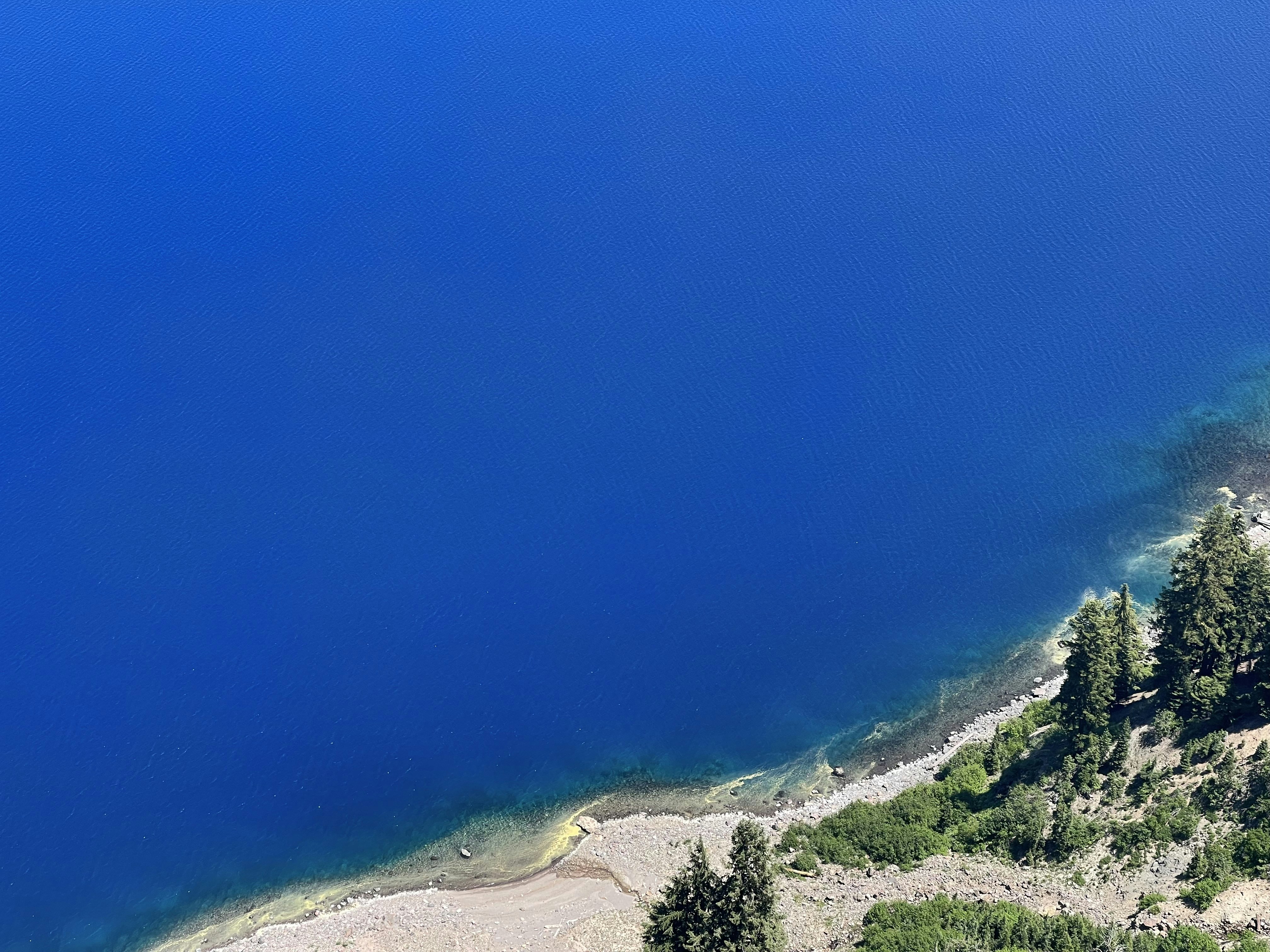 green trees on hill near body of water during daytime