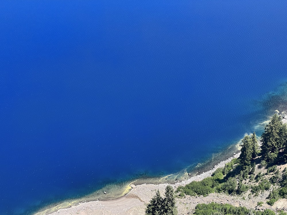 green trees on hill near body of water during daytime