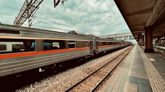 white and red train on rail tracks during daytime