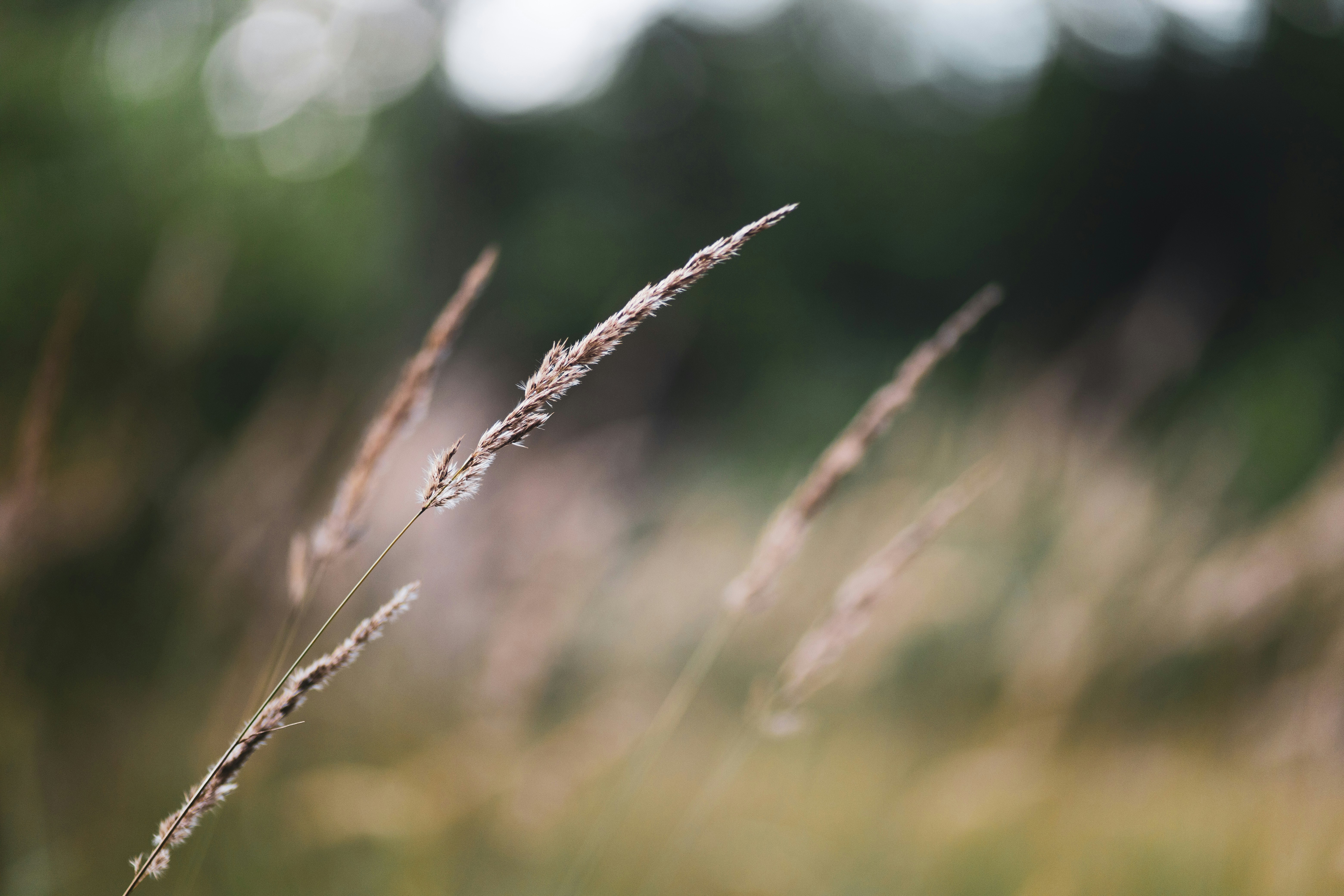 Photo by victor_vector