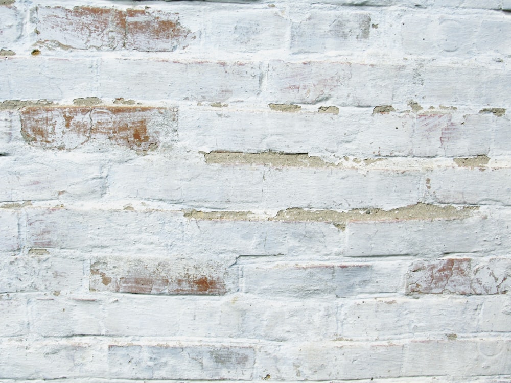 white and gray brick wall