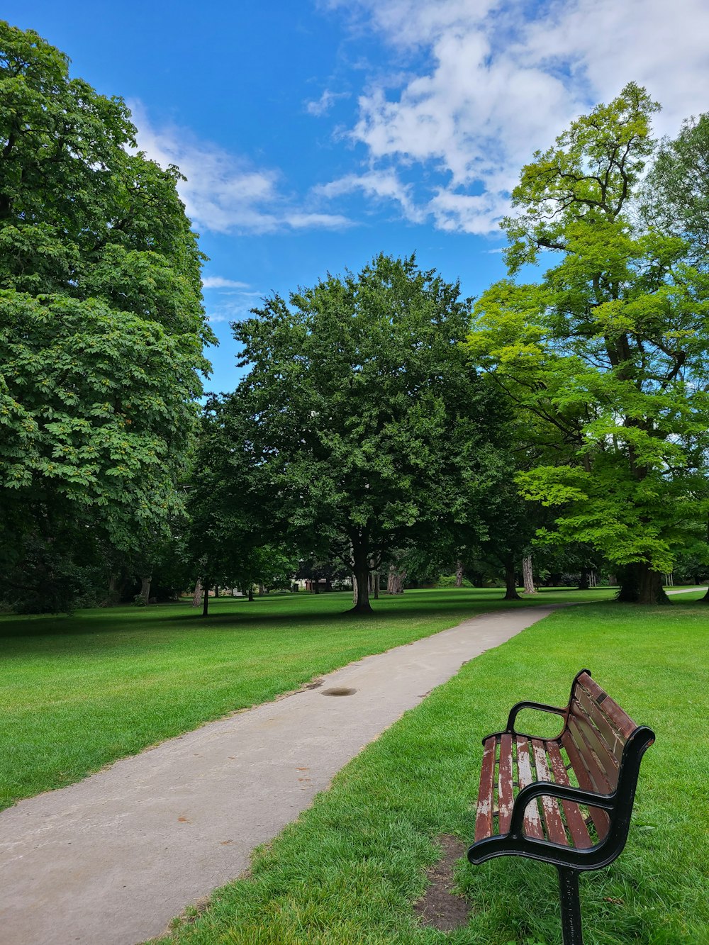 brown wooden bench near green trees under blue sky during daytime