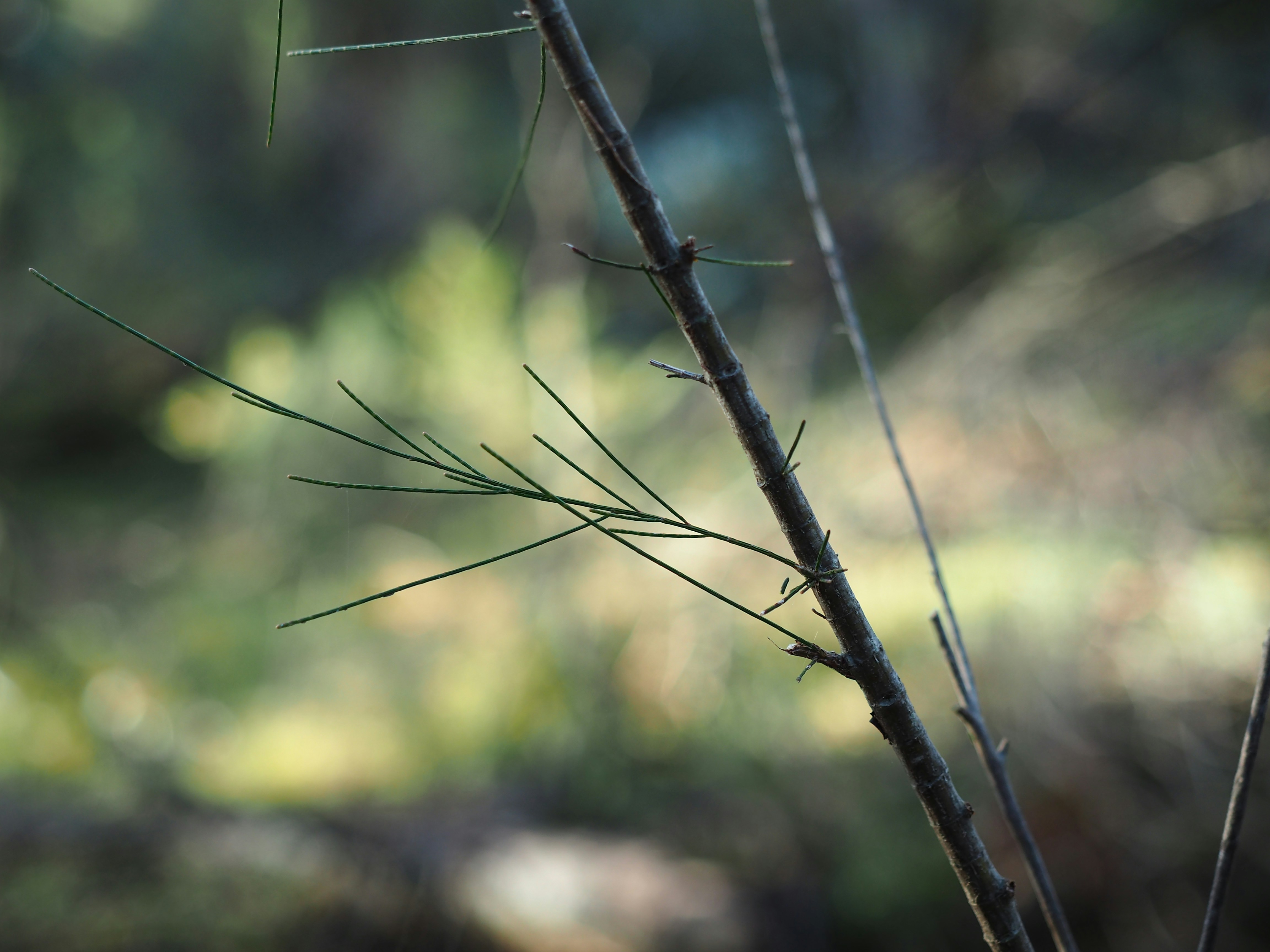 Photo by wricks_pics