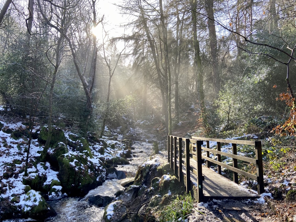 brown wooden bridge over river between trees during daytime