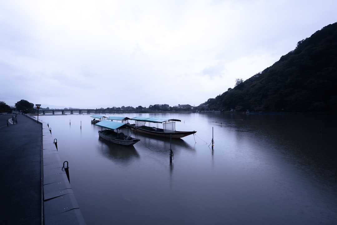 white and brown boat on water during daytime