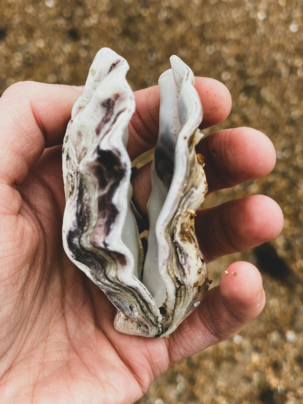 person holding white and black stone