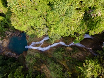 Aerial view of a vibrant green forest surrounding a cascading waterfall that flows into a tranquil turquoise pool. The lush foliage is dense and varied, creating a natural canopy over the landscape. The waterfall is composed of multiple streams flowing down the rocky terrain, adding a dynamic element to the serene setting.