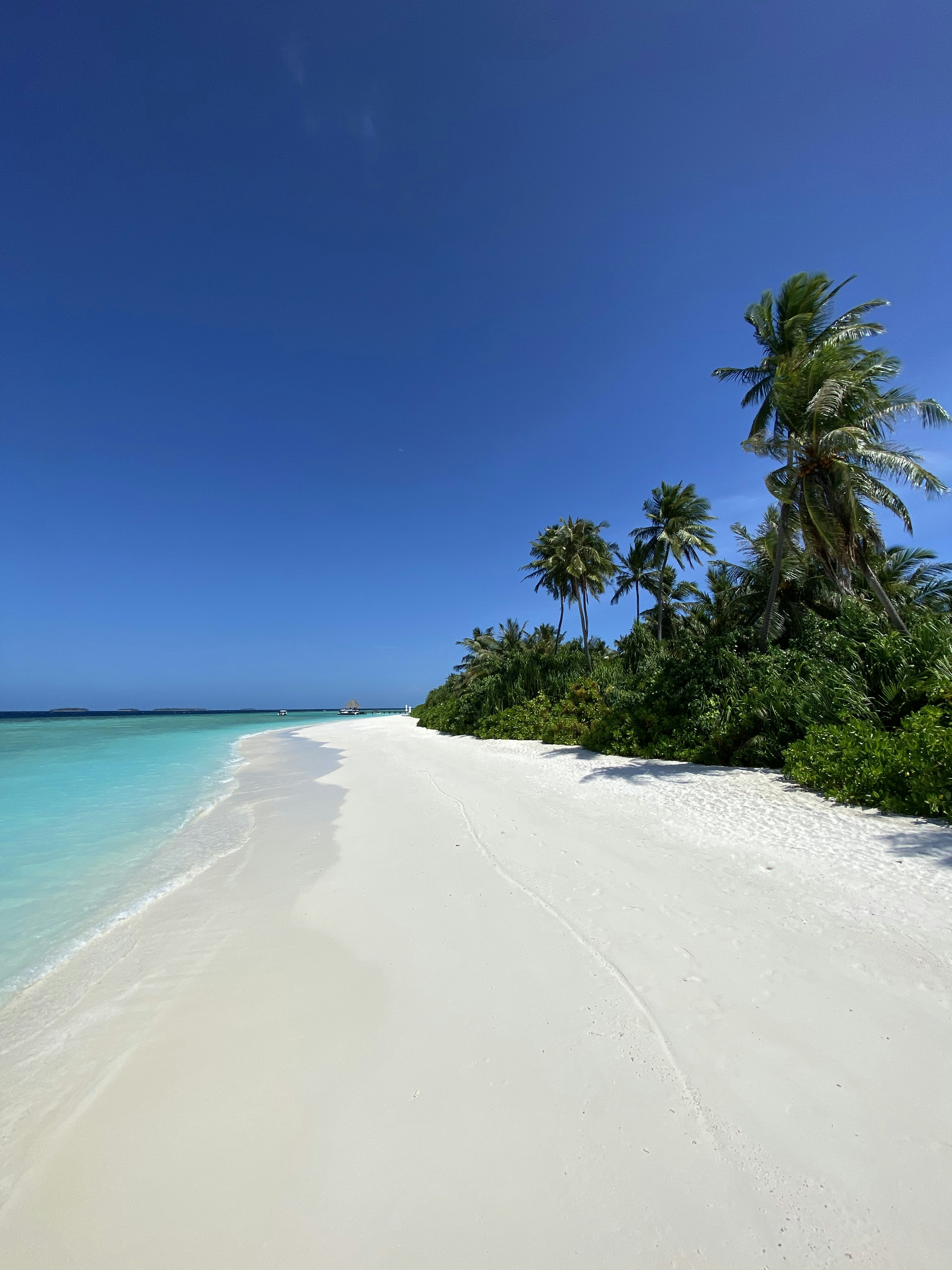 Photo by ahmedjauharee