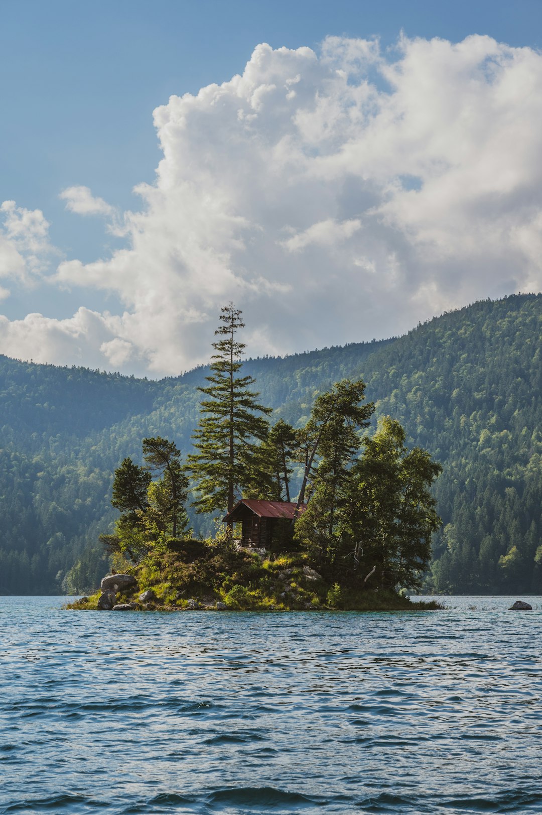 brown wooden house on green grass field near body of water and green trees under white