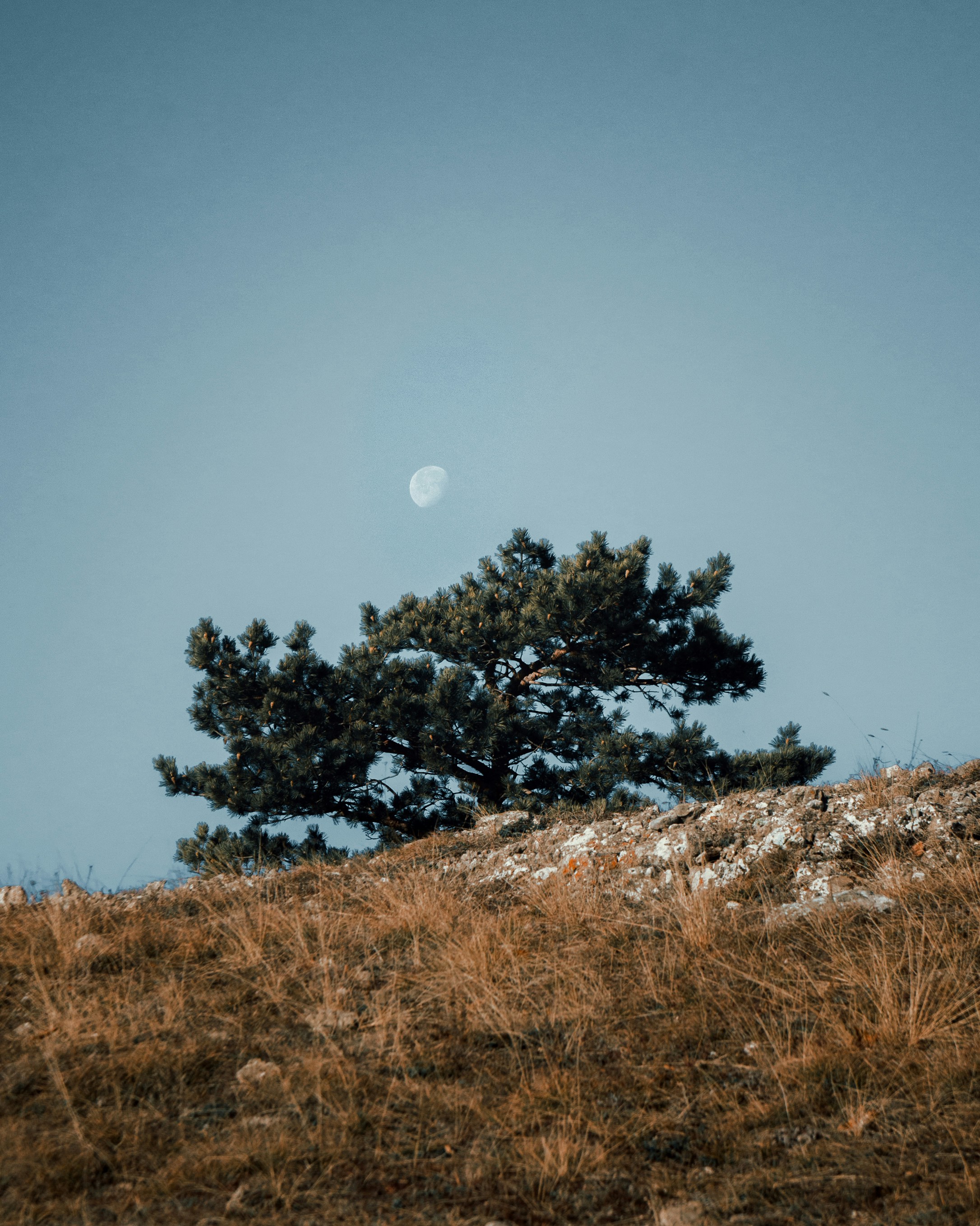 Photo by kirillpershin