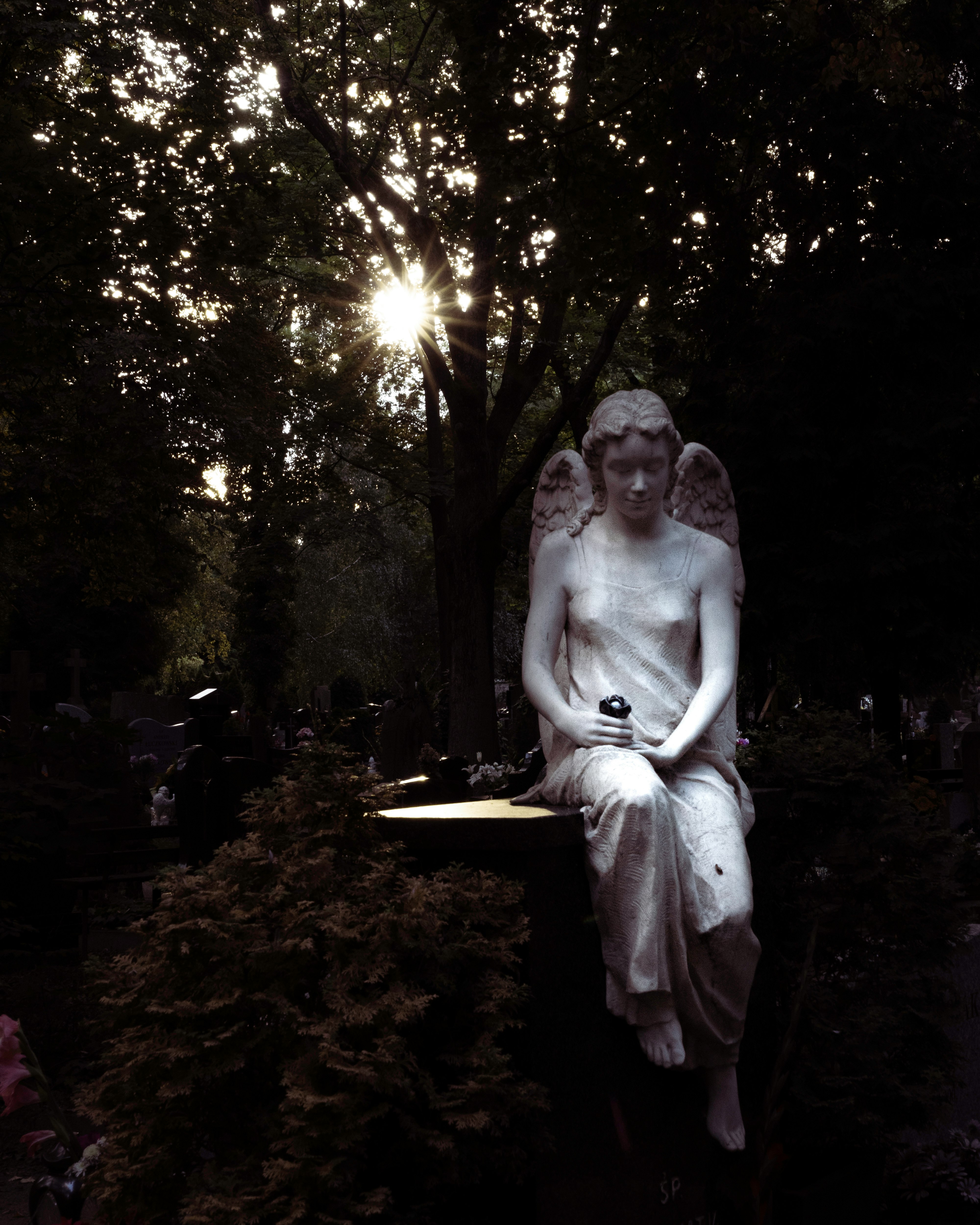 woman in white dress standing on ground near trees during night time