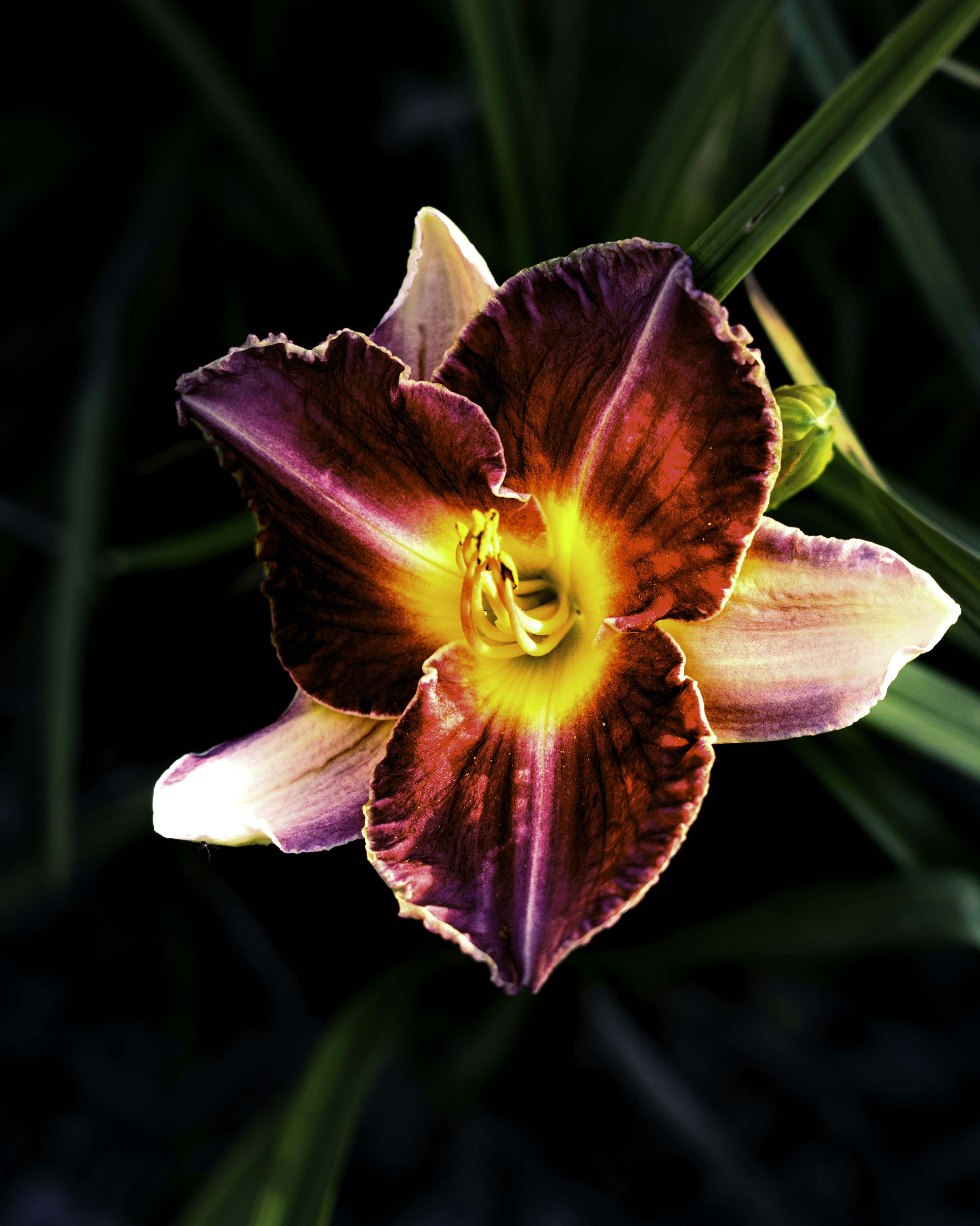 Photo by radek_blackseven