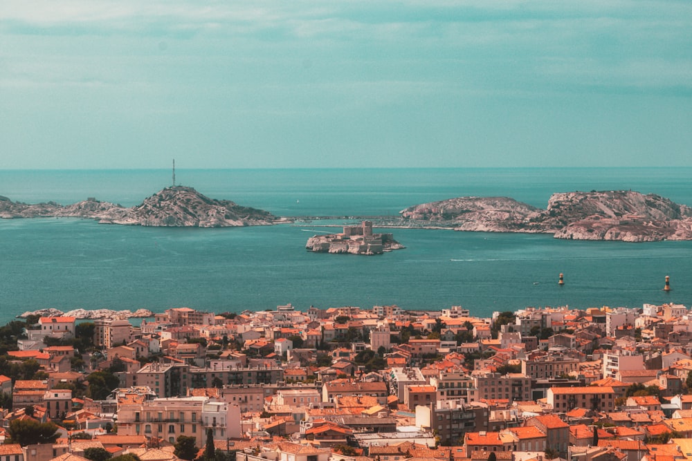 aerial view of city buildings near sea during daytime