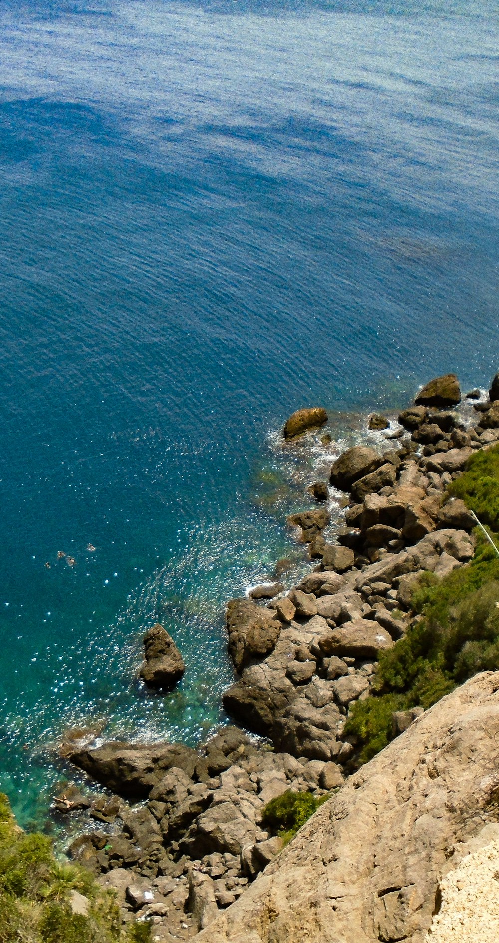 日中は青い水が流れる茶色の岩だらけの海岸