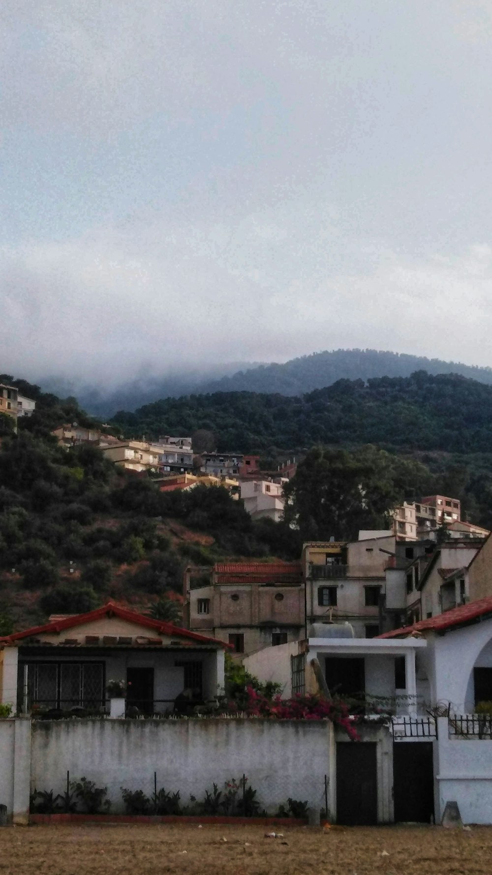 green trees and houses during daytime