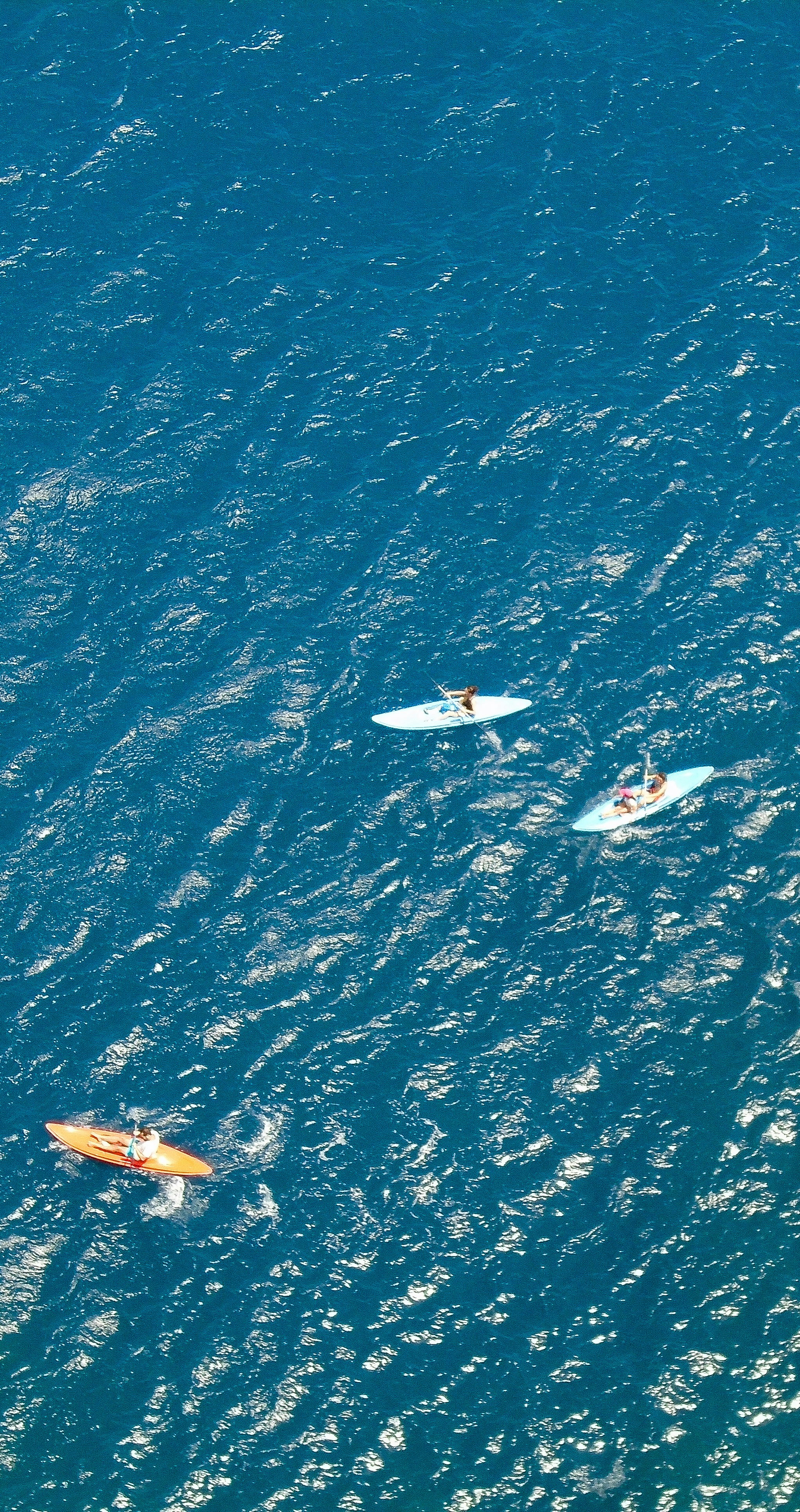 낮 동안 푸른 바다에 흰색과 파란색 보트