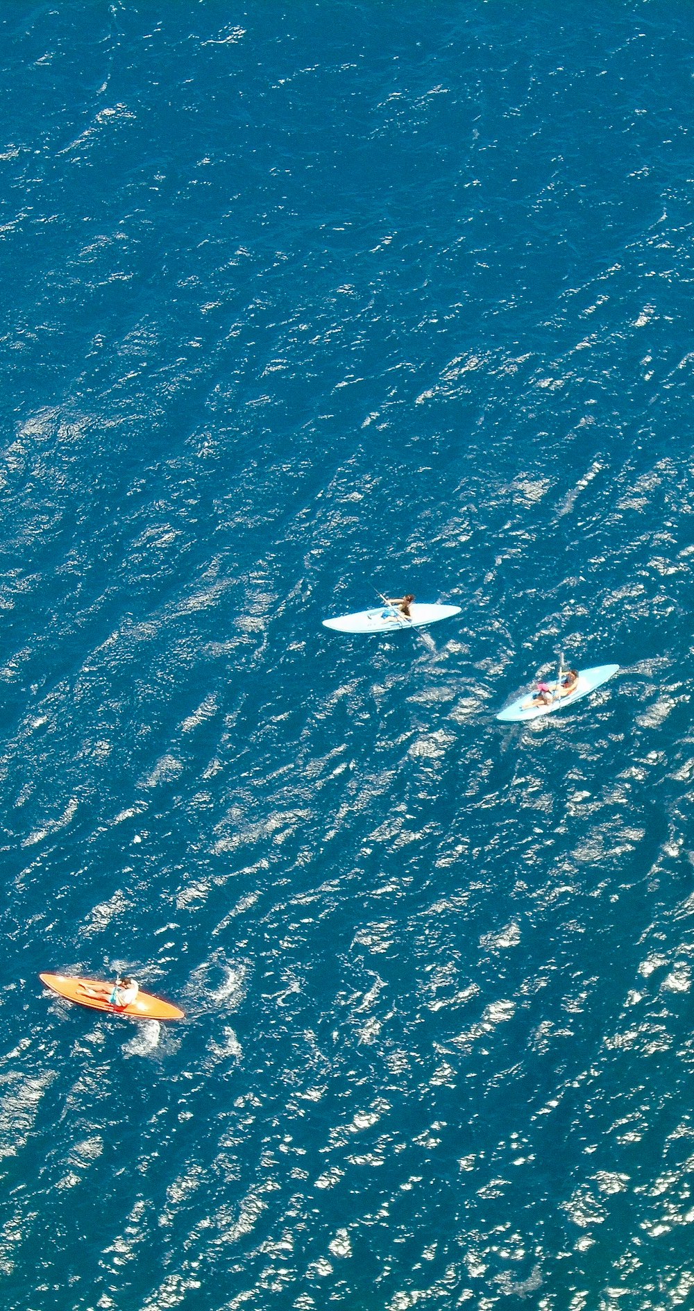 Barco blanco y azul en el mar azul durante el día