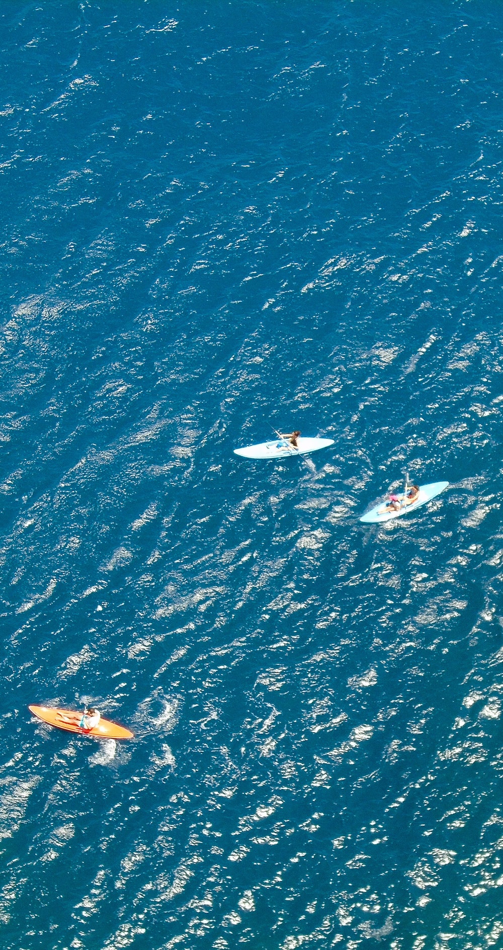 white and blue boat on blue sea during daytime