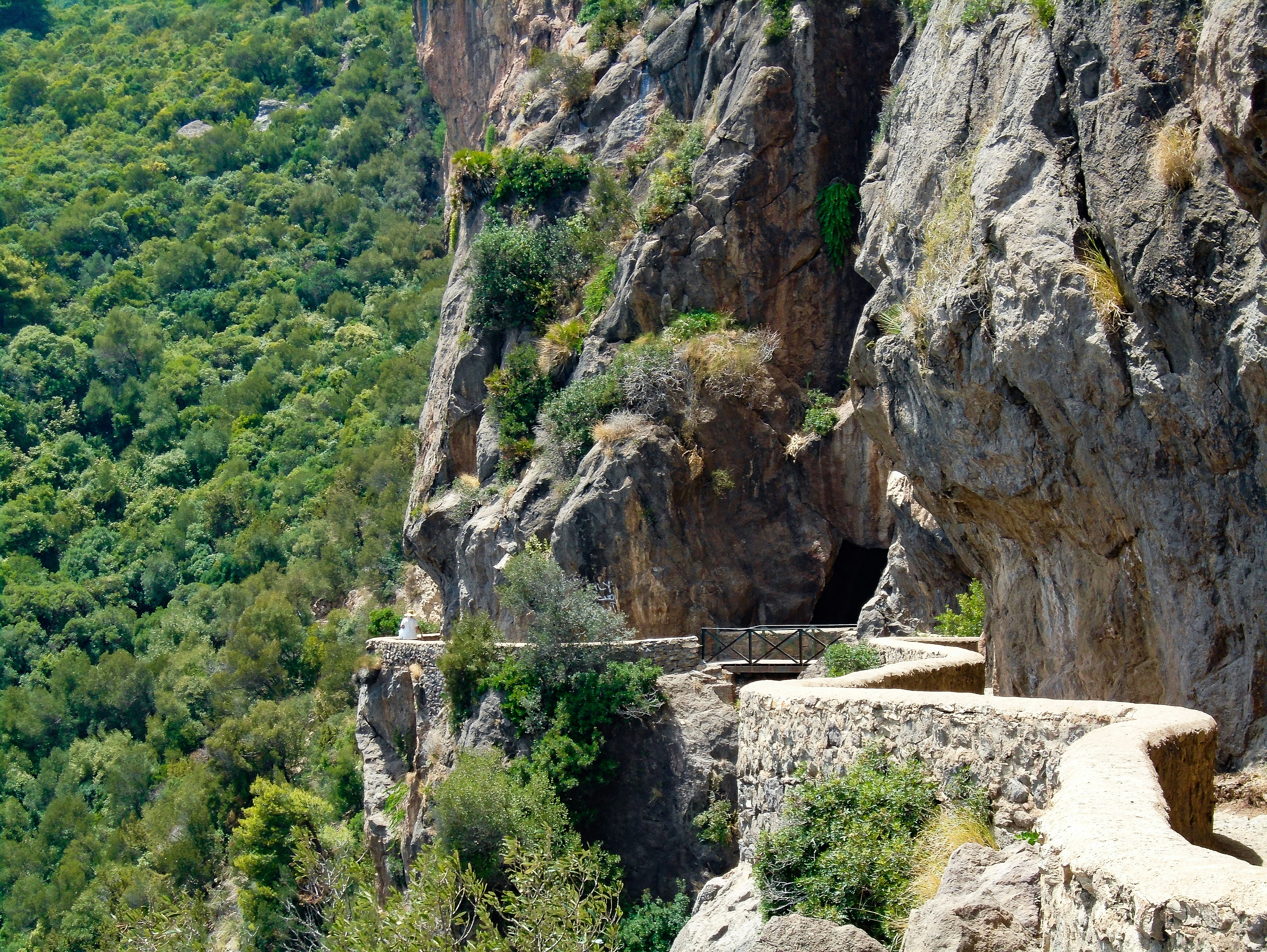 brown rock formation during daytime