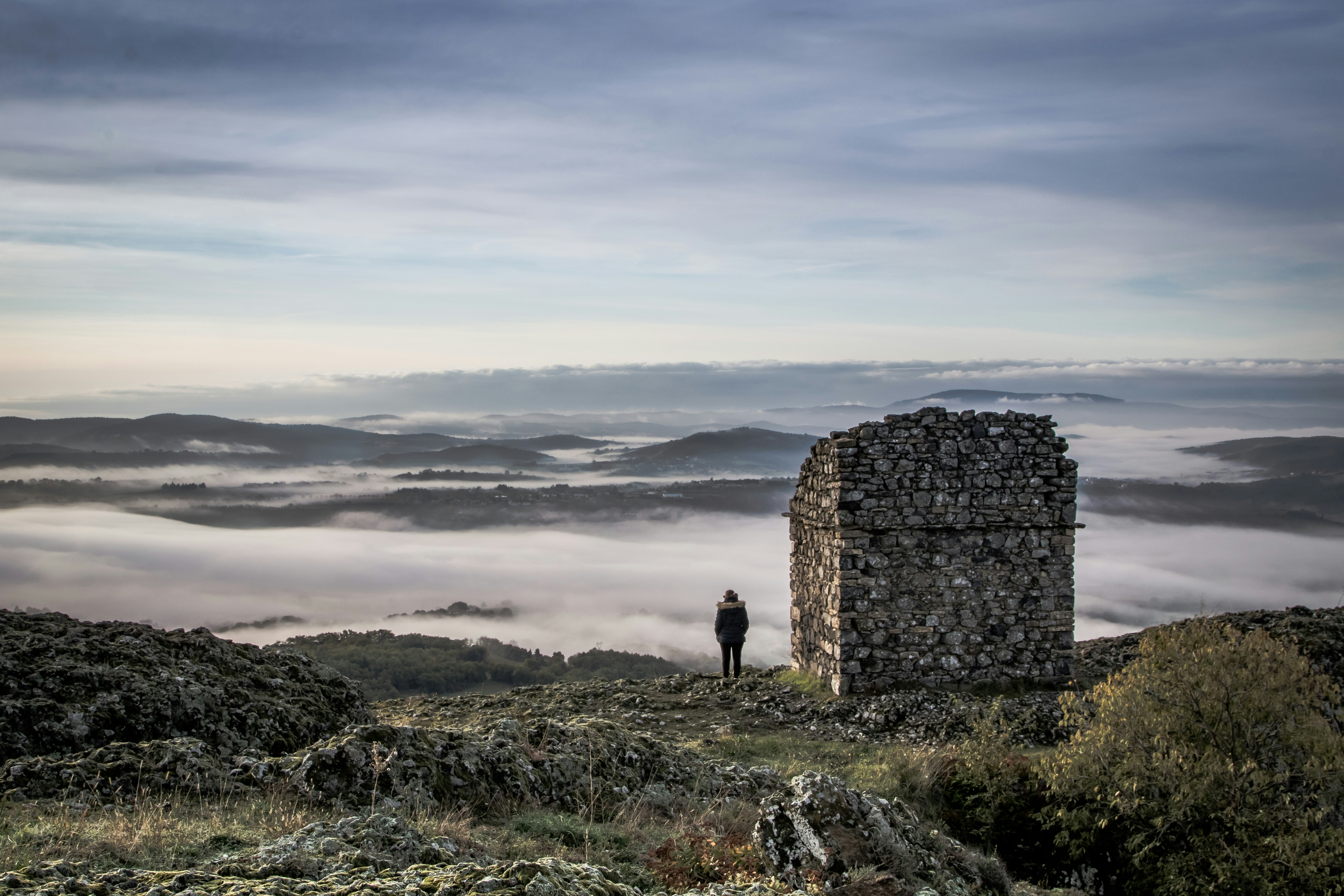 personne debout sur un champ d’herbe verte pendant la journée