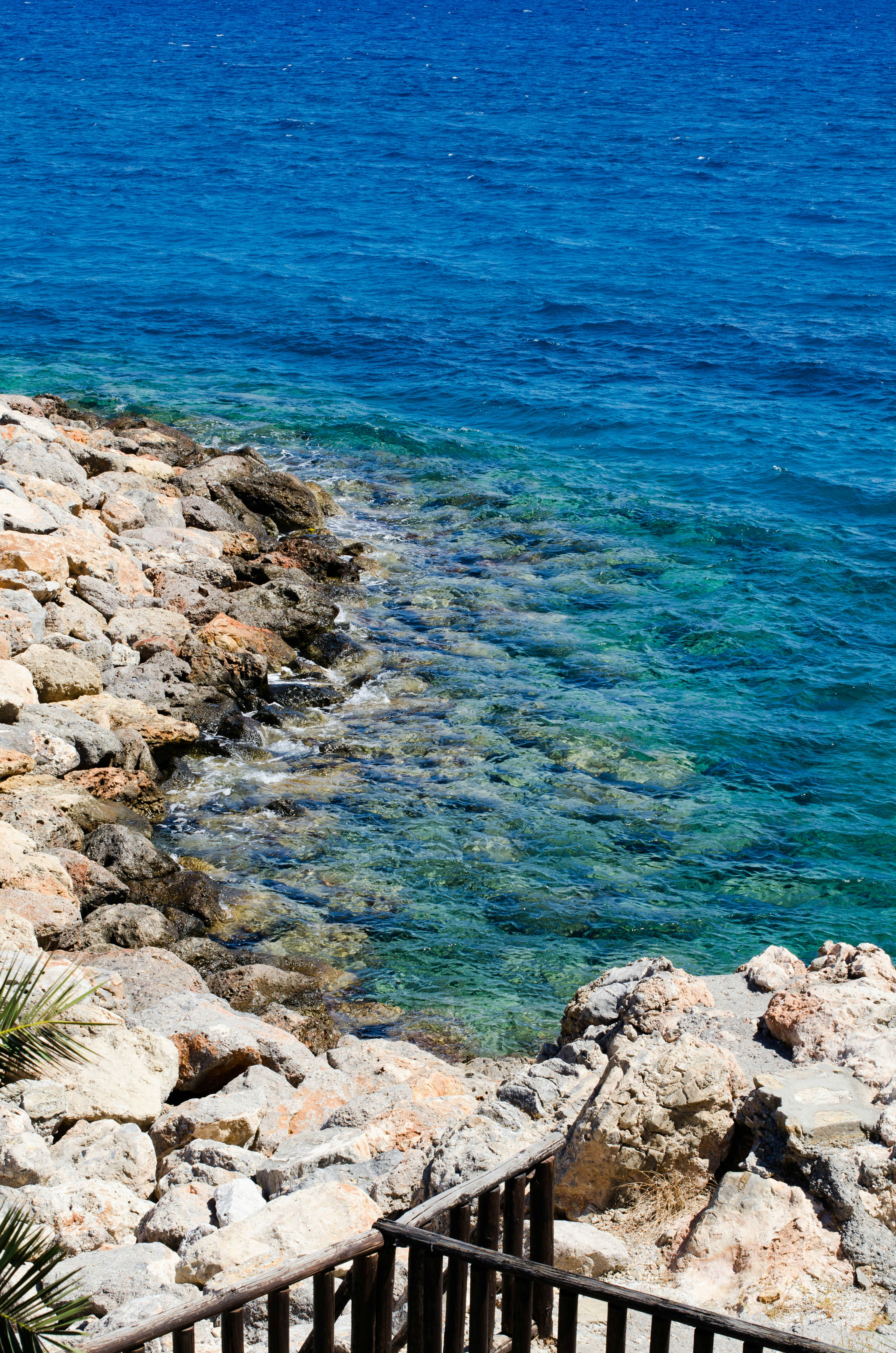 Photo by nika_benedictova