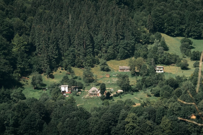 A cluster of small houses is nestled in a lush, green valley surrounded by dense forest. The landscape features rolling hills with abundant trees, creating a serene and secluded atmosphere. The buildings are rustic and blend harmoniously with the natural environment.