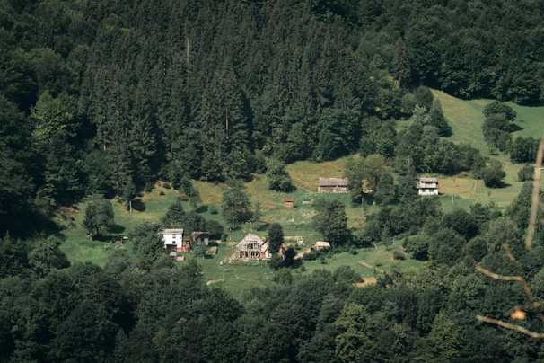 A cluster of small houses is nestled in a lush, green valley surrounded by dense forest. The landscape features rolling hills with abundant trees, creating a serene and secluded atmosphere. The buildings are rustic and blend harmoniously with the natural environment.