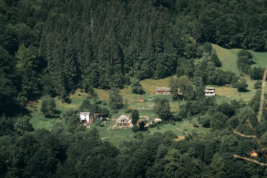 A cluster of small houses is nestled in a lush, green valley surrounded by dense forest. The landscape features rolling hills with abundant trees, creating a serene and secluded atmosphere. The buildings are rustic and blend harmoniously with the natural environment.