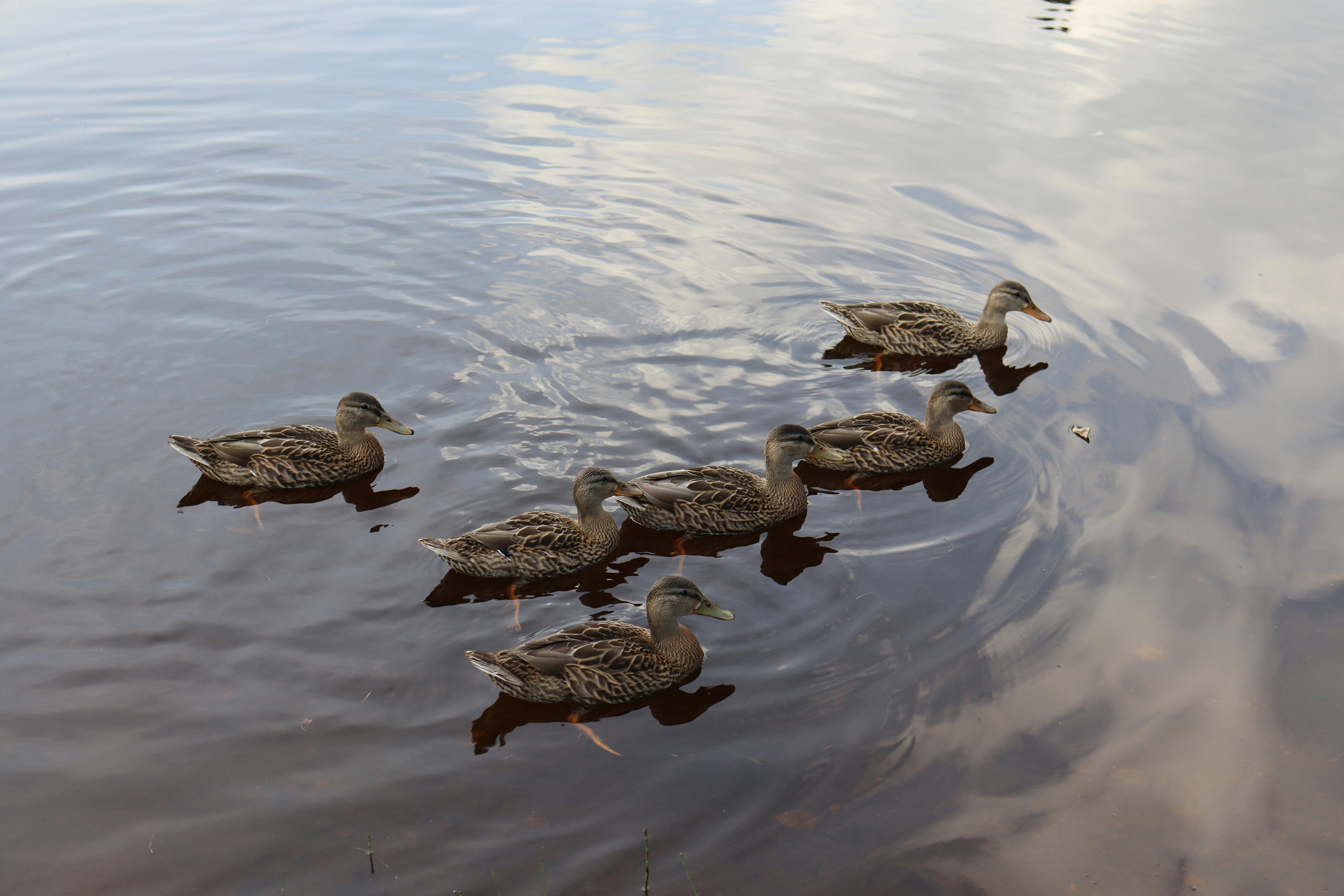 Photo by dosiu8327_2ud