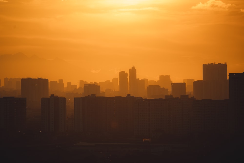 silhouette of city buildings during sunset