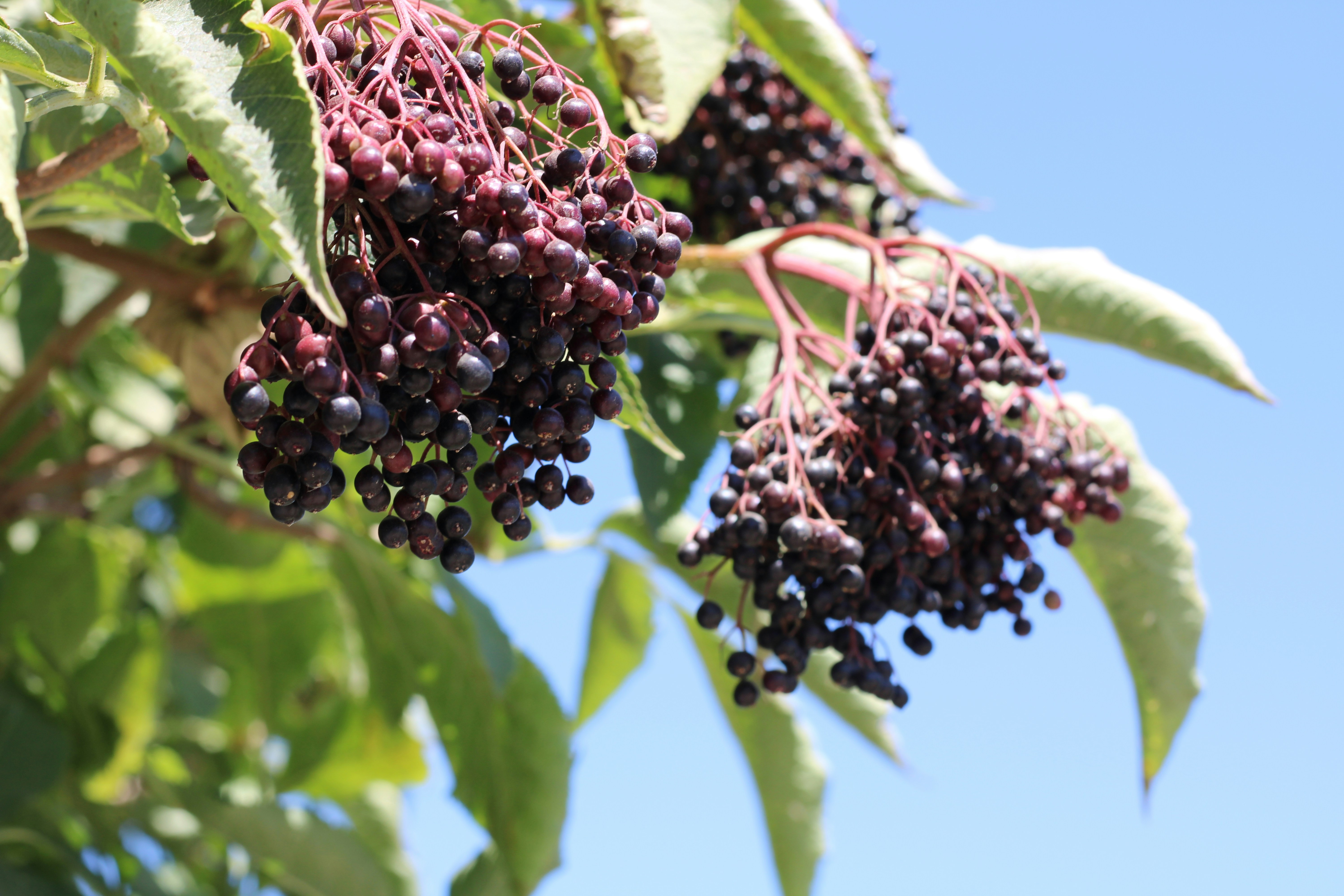 Photo by melomaniacseeker