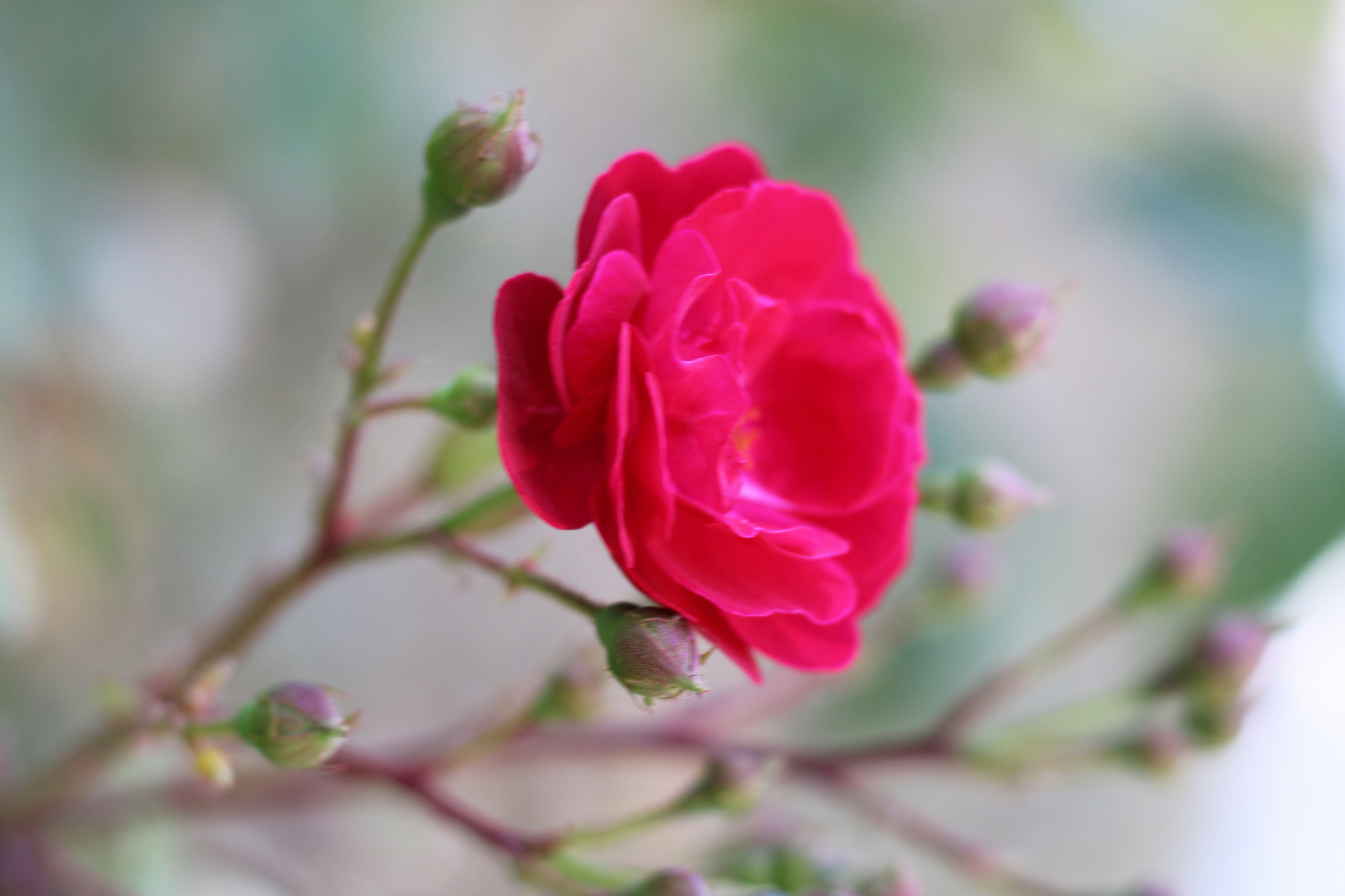 Photo by melomaniacseeker