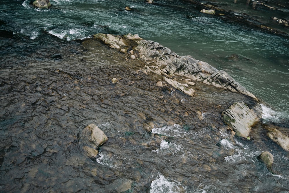 rivage rocheux avec des vagues d’eau