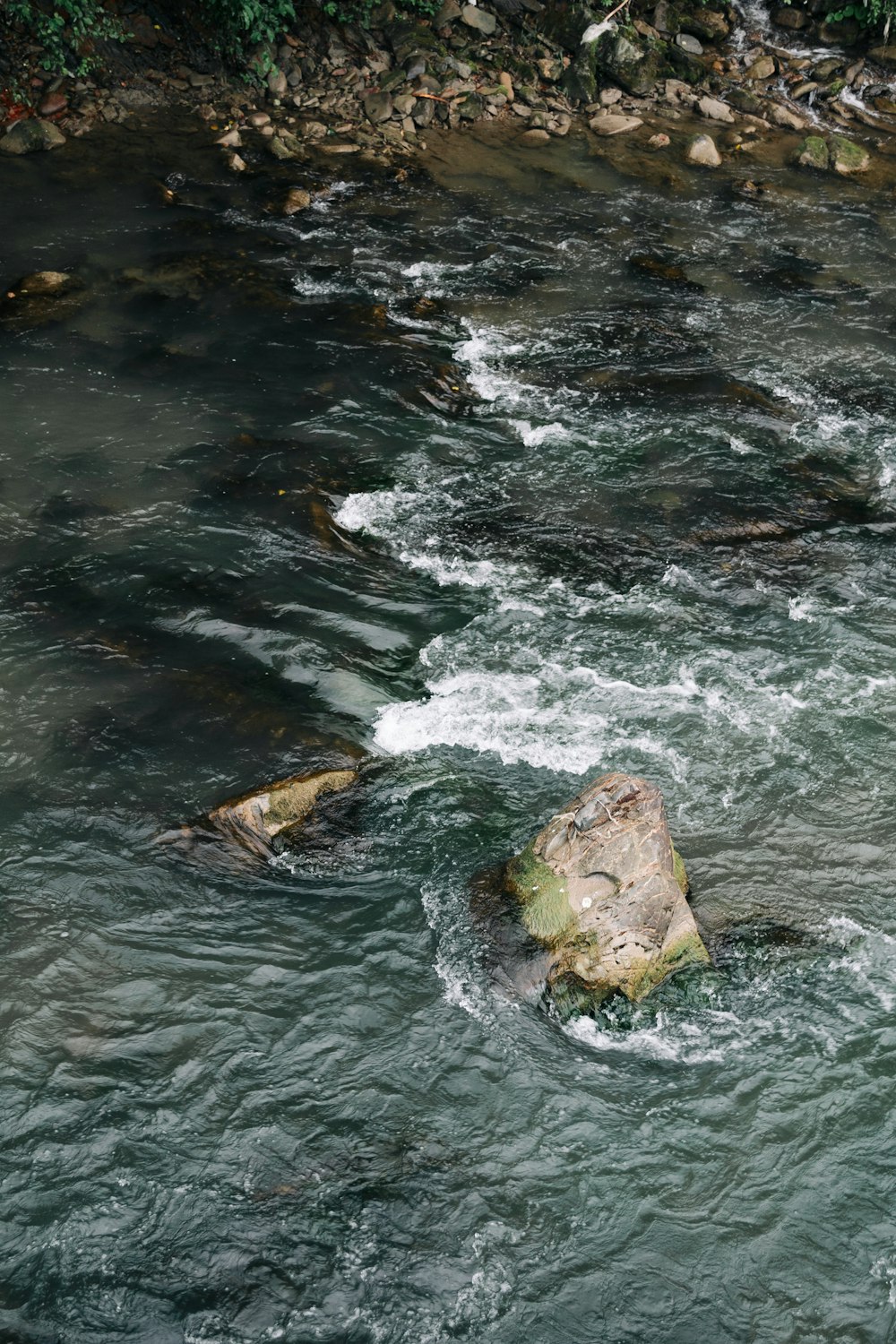 brown rock on body of water