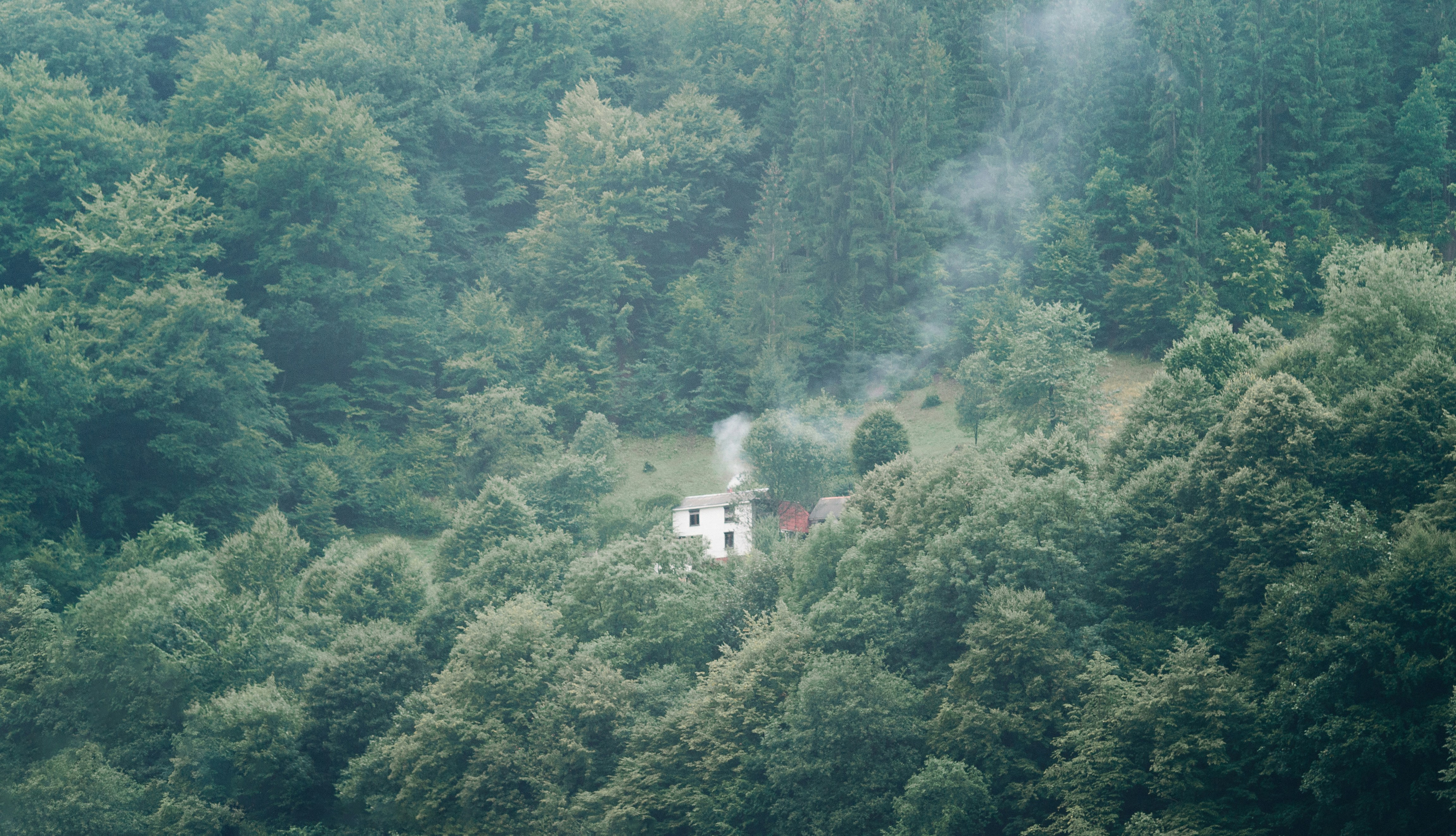 white house surrounded by green trees during daytime smoggy teams background