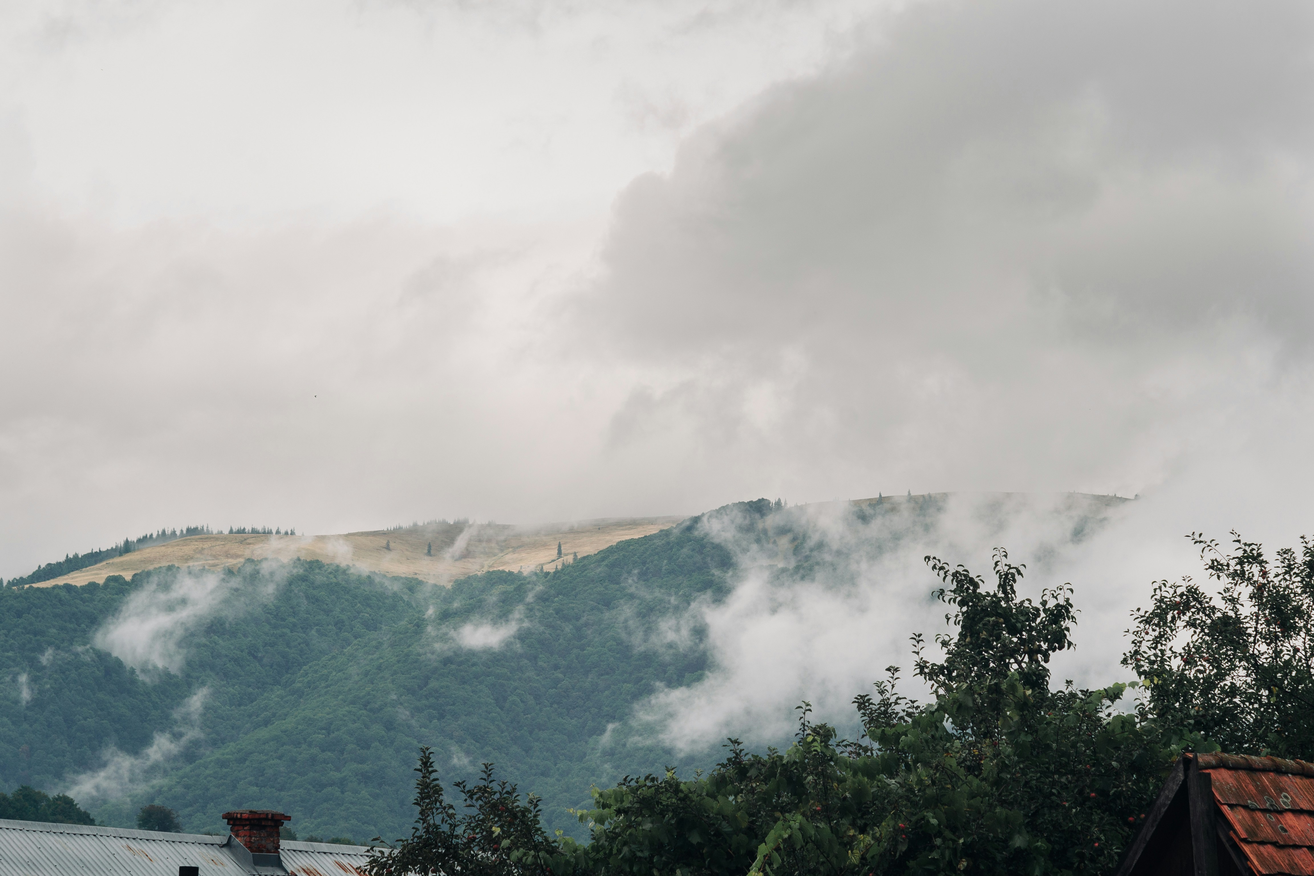 green trees on mountain under white clouds during daytime smoggy teams background