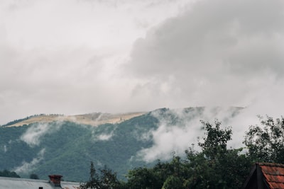 green trees on mountain under white clouds during daytime smoggy google meet background