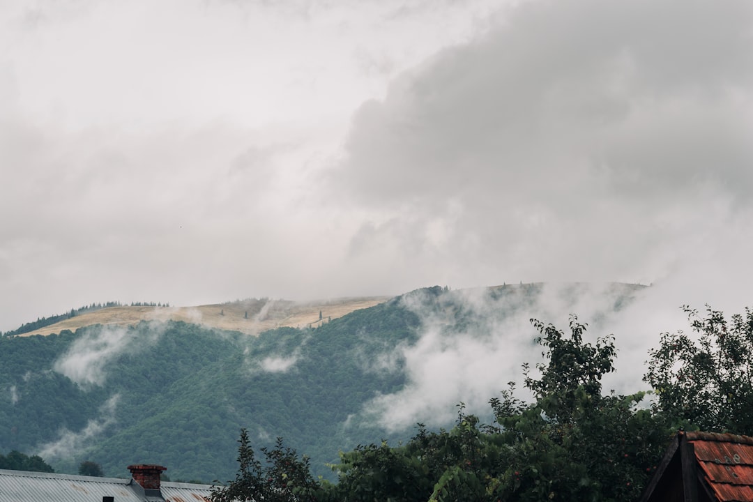 green trees on mountain under white clouds during daytime