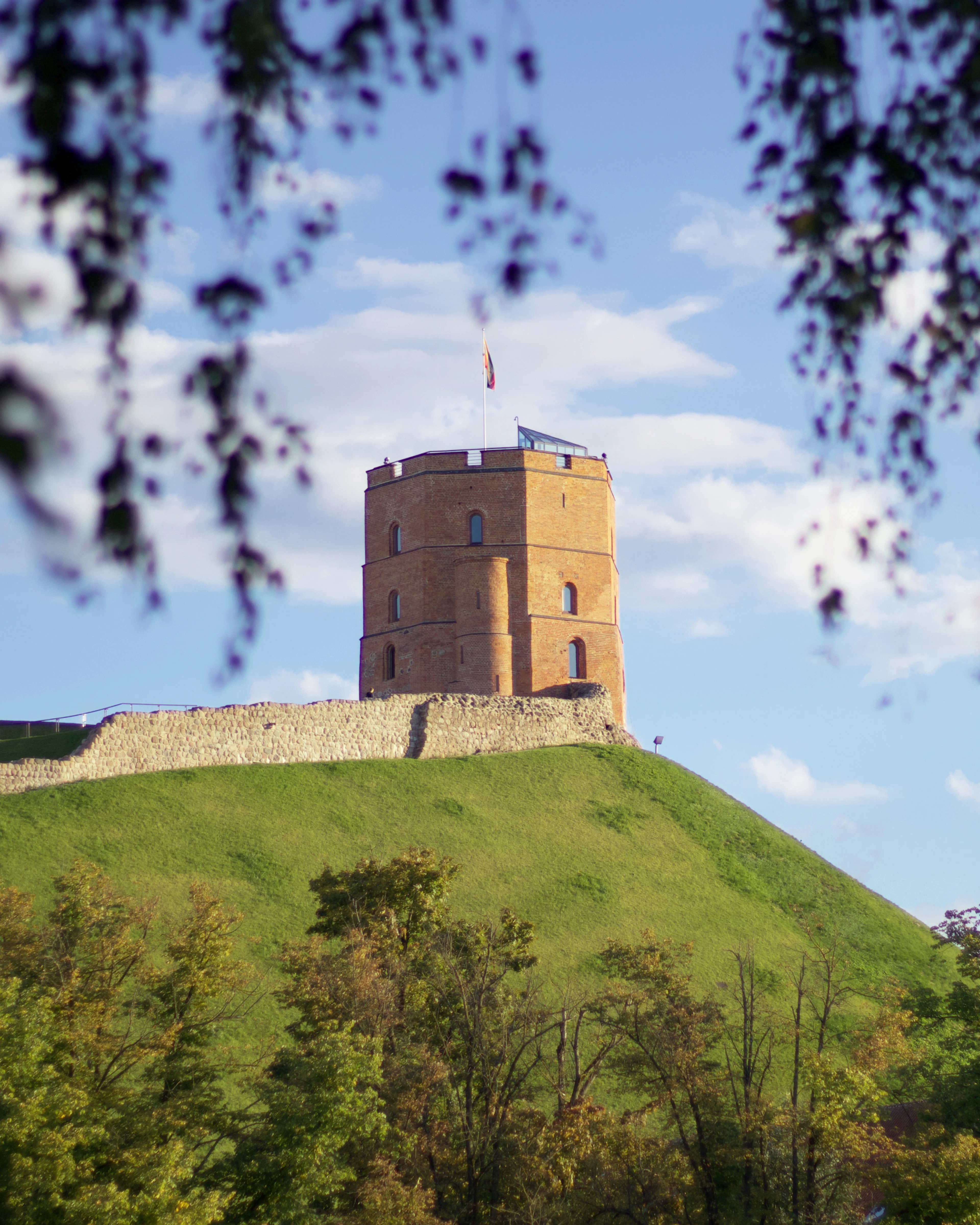 Gediminas' Tower standing on its steep green hill above Vilnius, the red brick warm in afternoon light and the Lithuanian flag flying from the roof, framed by overhanging autumn branches.