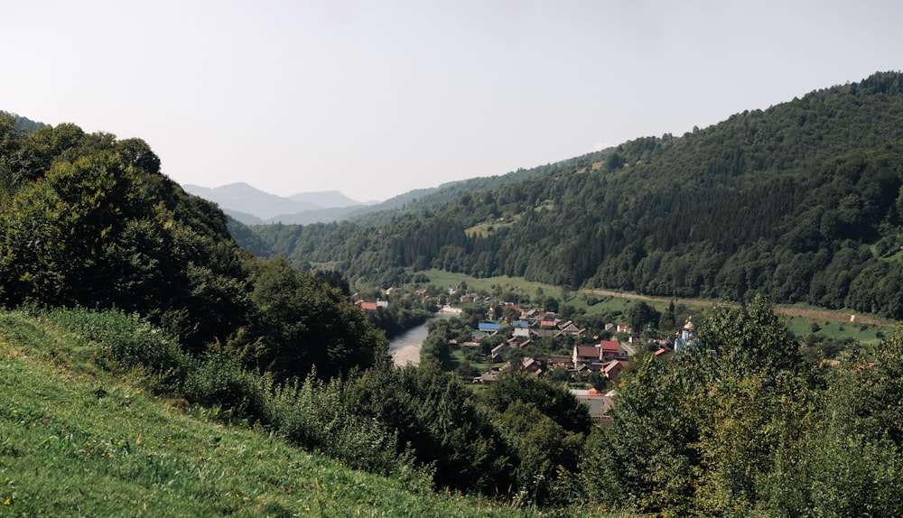 green trees and mountains during daytime