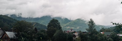 green trees near mountain during daytime smoggy teams background