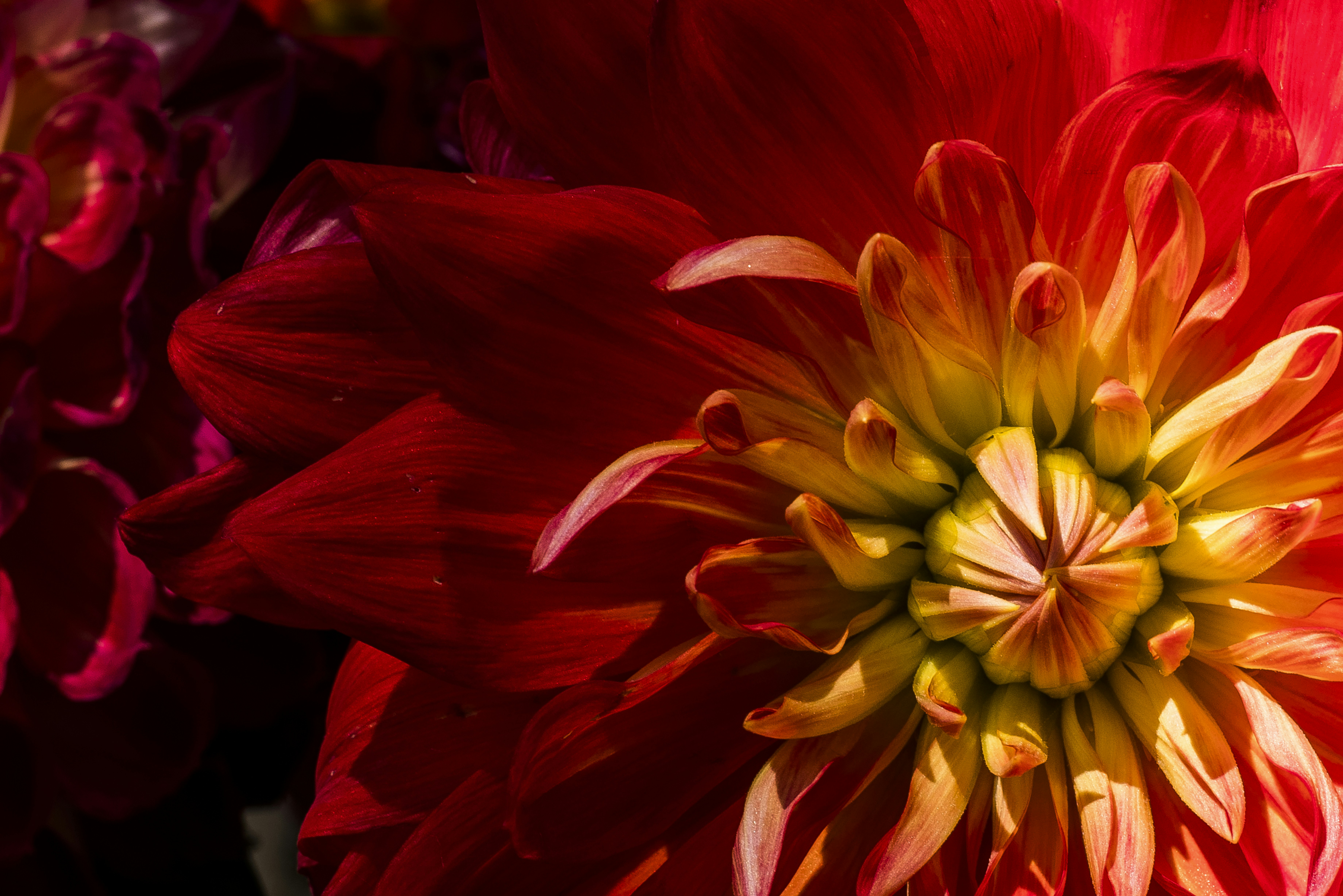 Photo by switch_dtp_fotografie